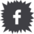 icon_social_facebook_v1